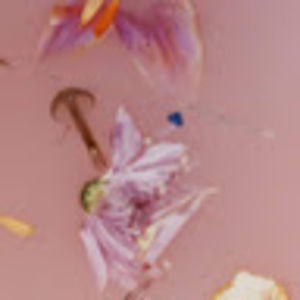 Meet your Posher, Simran